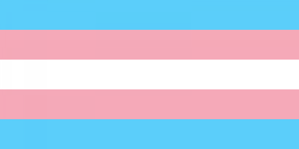 800px-Transgender_Pride_flag.svg